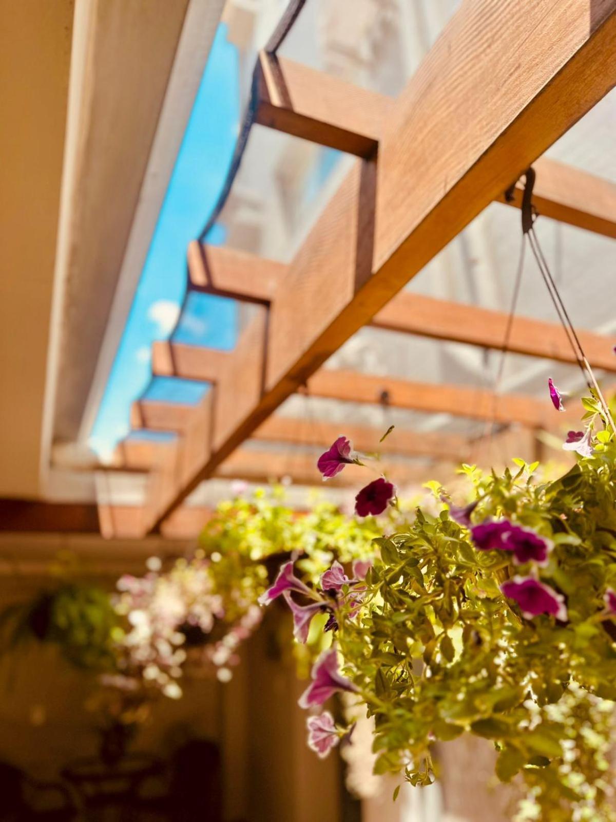 Skalla Hotel โนโว โอเดสซา ภายนอก รูปภาพ